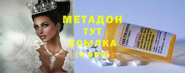 сатива Арсеньев