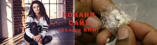 сатива Арсеньев