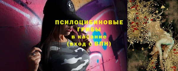 сатива Арсеньев