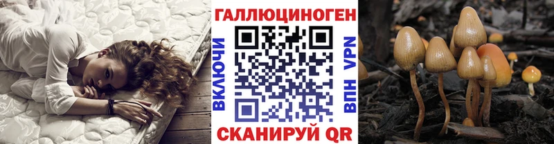 МЕГА   наркошоп  Харовск  Псилоцибиновые грибы ЛСД 